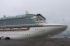 豪華客船　ダイヤモンド・プリンセス1