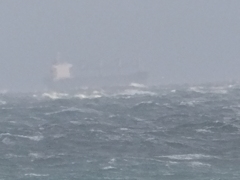 大荒れの海。