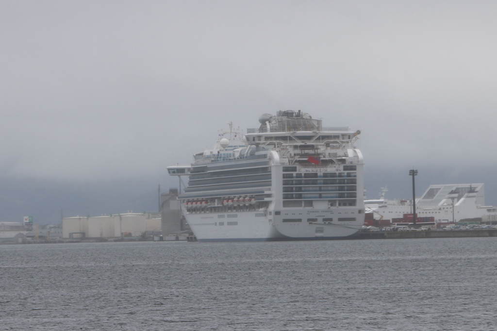 豪華客船　ダイヤモンド・プリンセス3