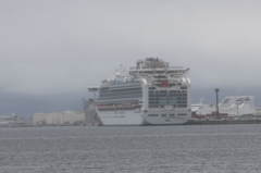 豪華客船　ダイヤモンド・プリンセス3