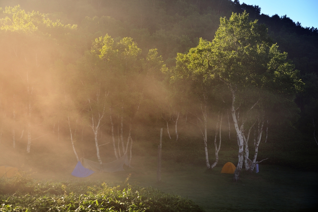 朝靄の高原キャンプ