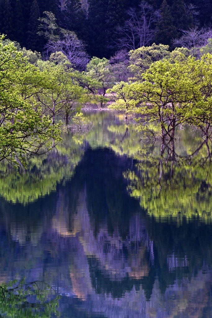 緑　鏡
