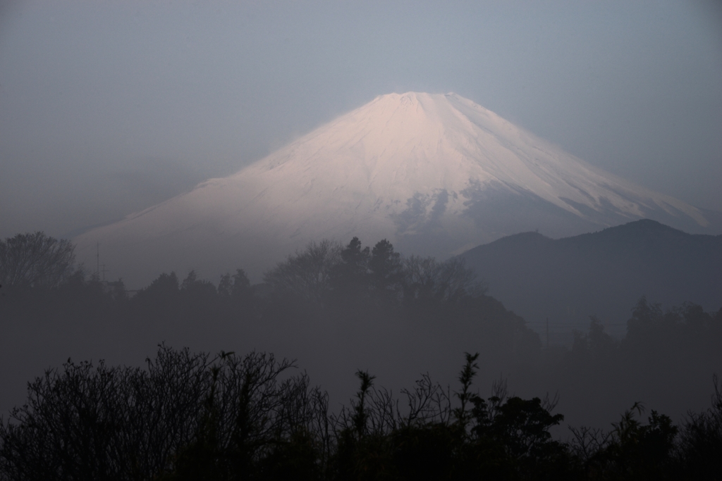 薄靄の朝