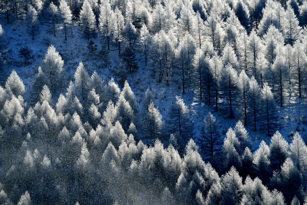 粉雪ねえ心まで白く染められたら By Hatto Id 写真共有サイト Photohito