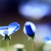 Cheers to spring light