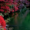 紅と碧の競映