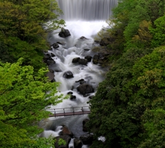 新緑の早川の流れ