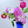 葩