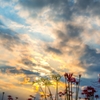 堤の秋雲