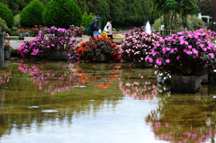 花に囲まれた素晴らしい日曜日