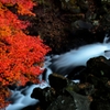 紅緋の袴
