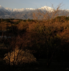 春　暁