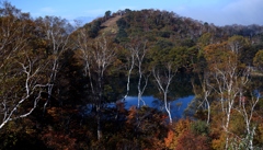 丸池の秋
