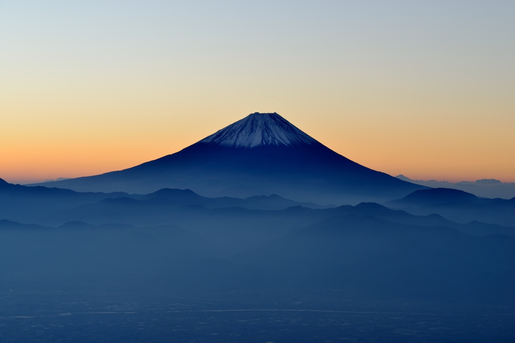 （青）定根