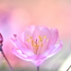 春酔い