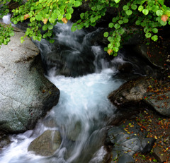 立秋の渓流