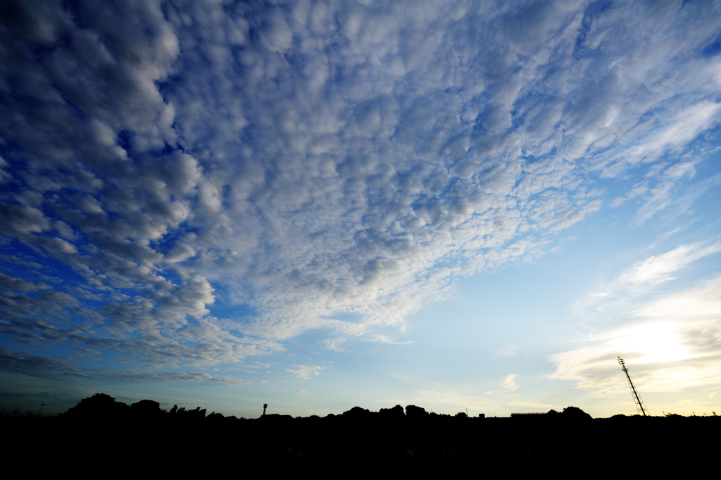 大雲