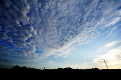 大雲