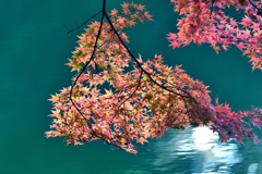 朧　陽