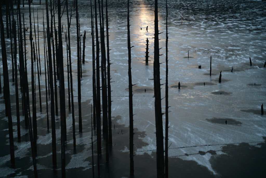 薄陽の氷湖