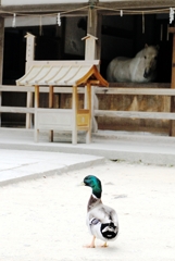 友を訪ねて幾千里ウマく会えたカモ
