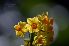 もう一度愛して