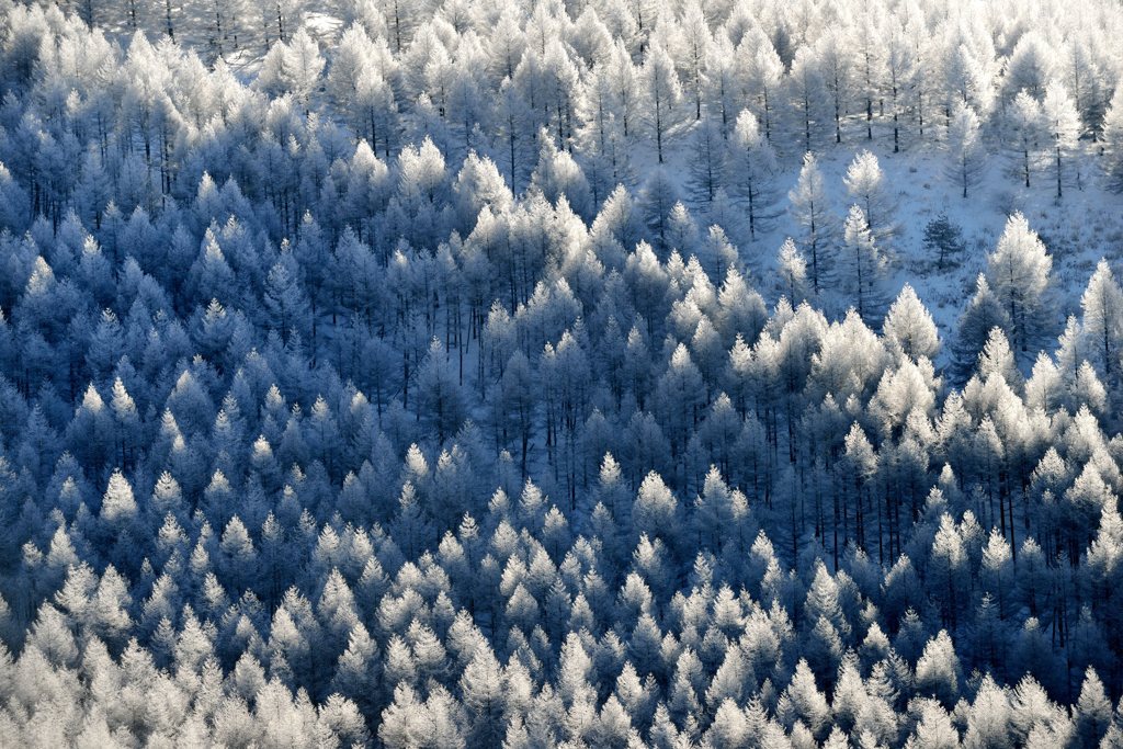 雪原譜Ⅱ