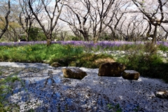 飛花の宴