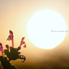 Dance towards the sun!