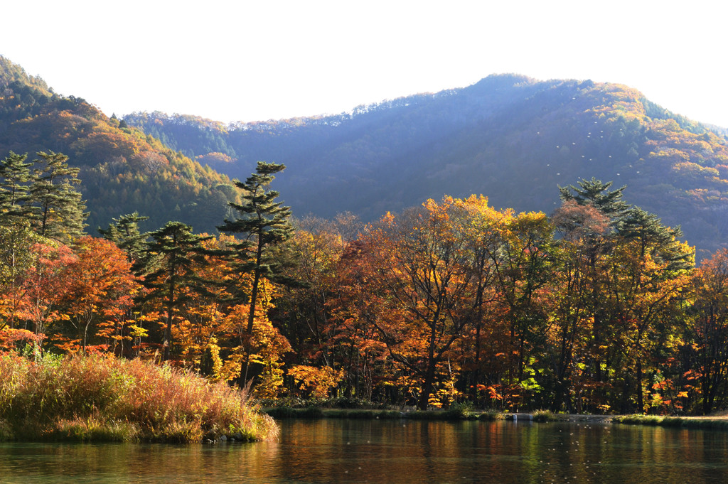 黄耀（ｵｳﾖｳ)Ⅱ