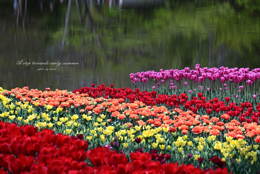 A step towards early summer