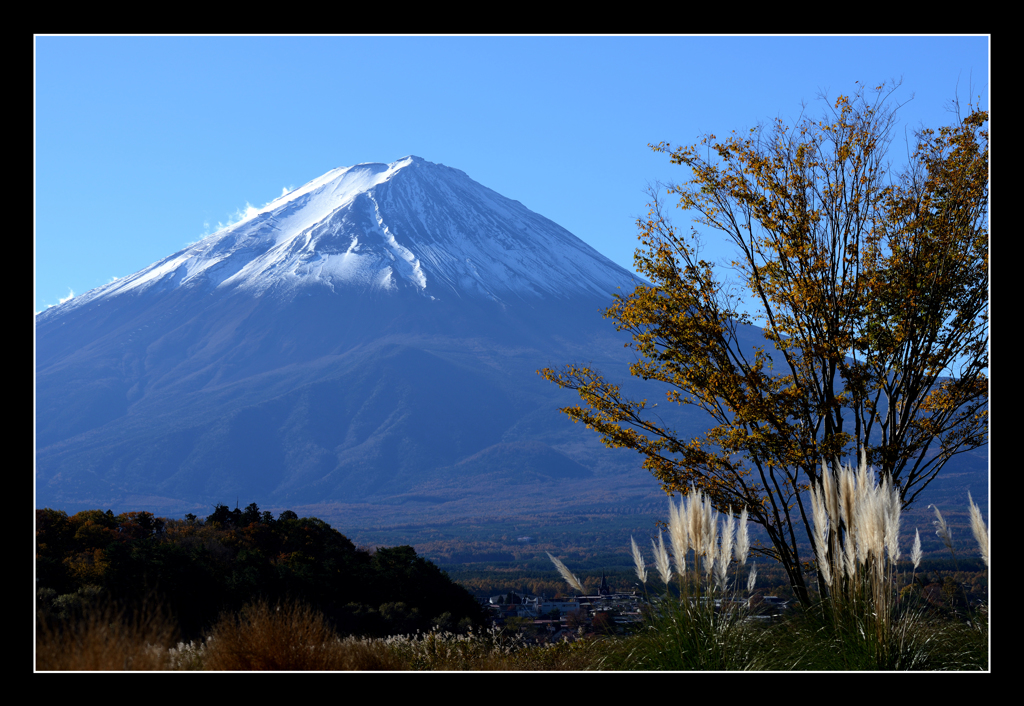 秋麗の富士