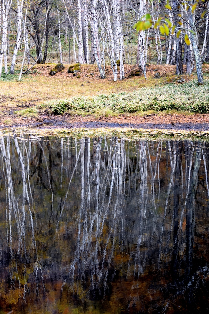 まるで油彩のような蓼科の秋沼