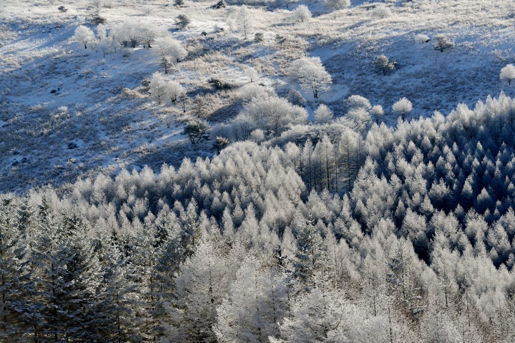 雪原譜Ⅰ