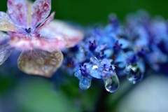 梅雨の音Ⅱ