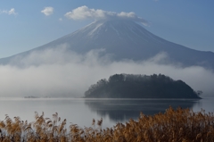 霧の籬（まがき）