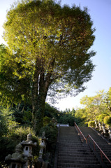 秋陽に燦く山北町　最勝寺