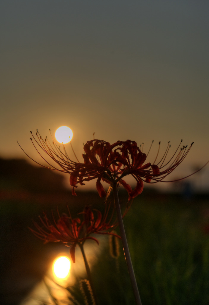 川面のもう一つの夕日