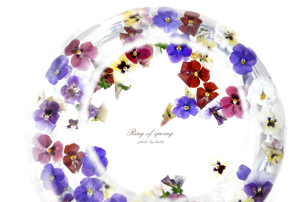 Ring of spring