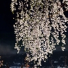 花やぐ