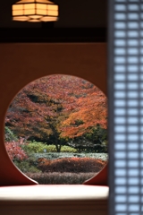 丸窓の秋Ⅲ