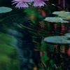 水　輪