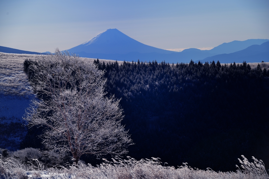 霧ヶ峰樹氷と富士