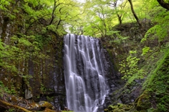 深壑の緑雨