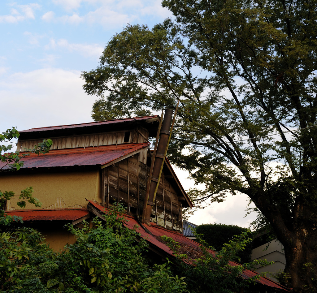 我が町百年楡の木と古納屋