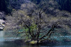 能登原山の池