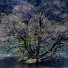 能登原山の池