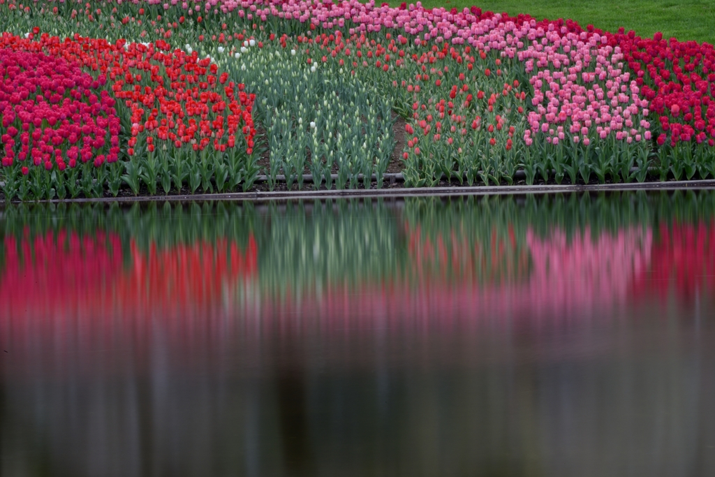 Spring wave