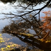 水際の早い秋