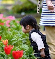 どの花見ても綺麗だな♬